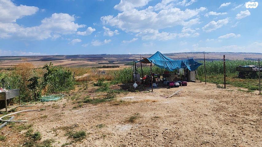 משמר השלושה 1