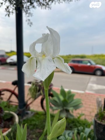 בית פרטי/ קוטג', יוסף מלאכי 20, רמב"ם, ראש העין