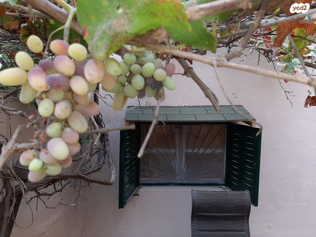 דירת גן, רבי זעירא 4, קטמון הישנה, ירושלים