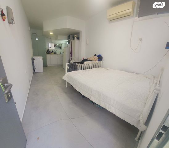 זלמן שניאור 13