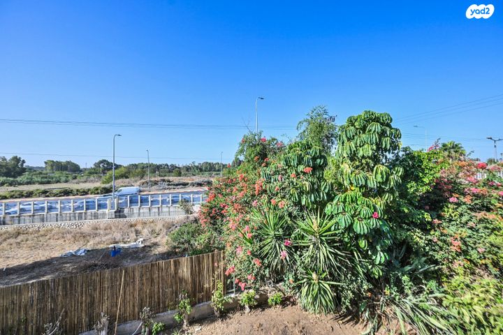 דירה, אבן גבירול, רחובות