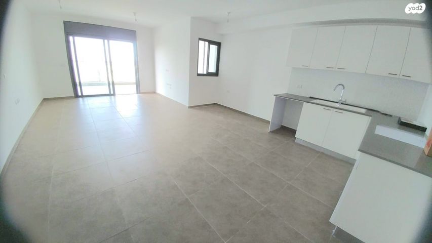 אלישע הנביא 