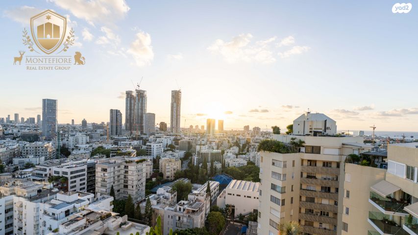 גג/ פנטהאוז, פנקס, הצפון החדש - כיכר המדינה, תל אביב יפו