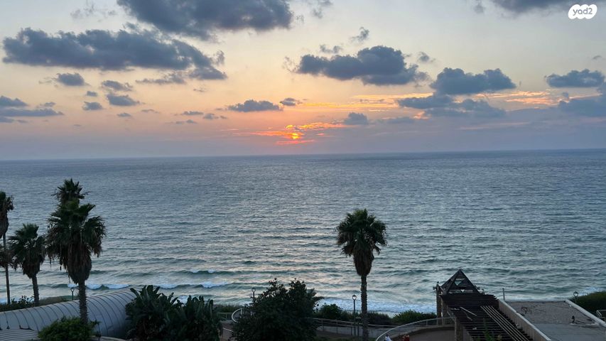 דירה, אלי לנדאו, הרצליה פיתוח, הרצליה