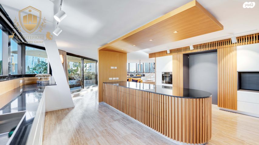 גג/ פנטהאוז, פנקס, הצפון החדש - כיכר המדינה, תל אביב יפו