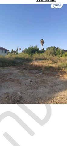 פריחת הסמדר 