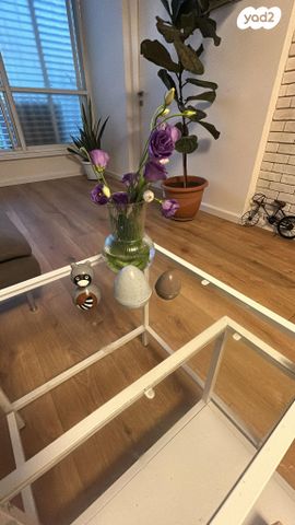 דירה, ענתות, גני צהלה, רמות צהלה, תל אביב יפו