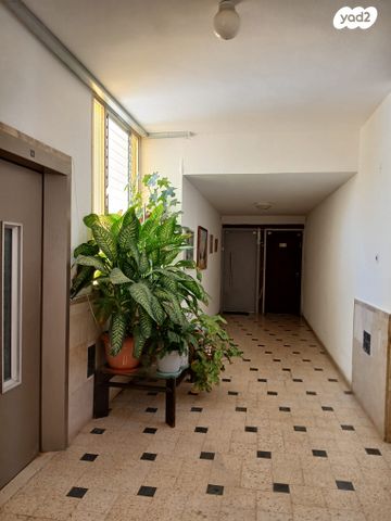 דירה, אברמוביץ', ראשון לציון