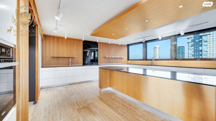 גג/ פנטהאוז, פנקס, הצפון החדש - כיכר המדינה, תל אביב יפו