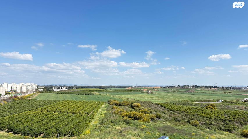 שדרות טום לנטוס 