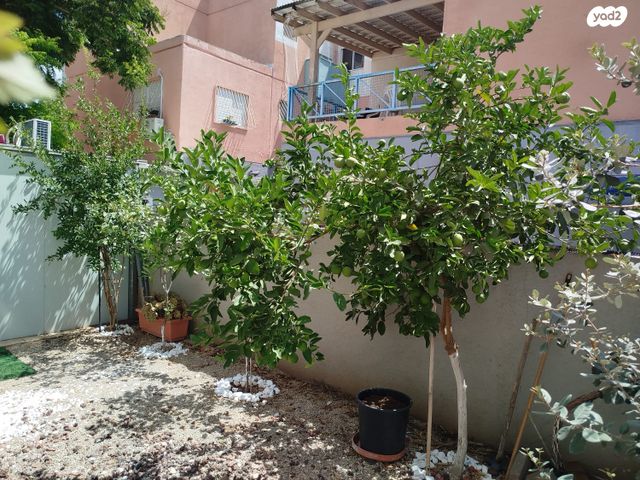 דירת גן, הפלג, בית אליעזר, חדרה