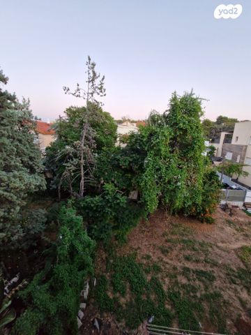 דירה, נהריה