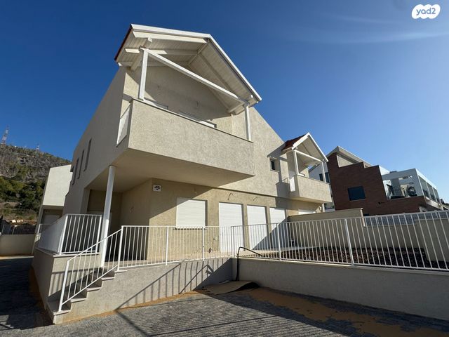 חורשת האקליפטוס 