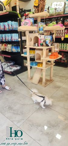 חנויות/ שטח מסחרי, הרצל, מגדל, אשקלון