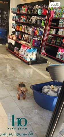 חנויות/ שטח מסחרי, הרצל, מגדל, אשקלון