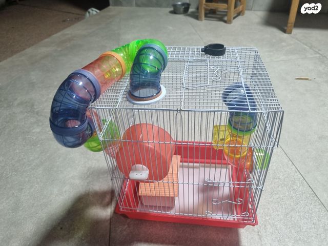 תמונת מודעה - חיות מחמד