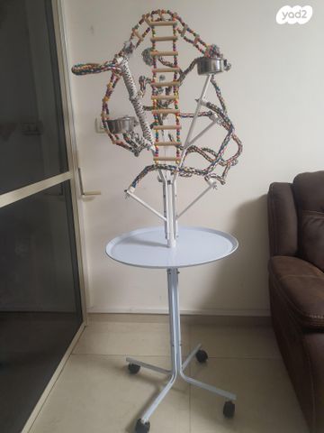 תמונת מודעה - חיות מחמד