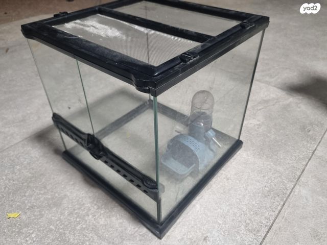 תמונת מודעה - חיות מחמד