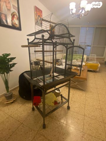 אביזרים | כלוב האכלת יד