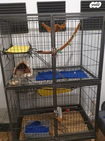 אביזרים | כלוב