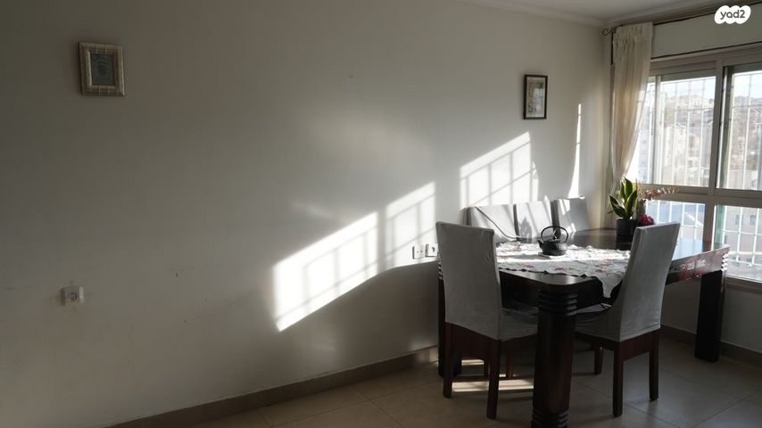 דירה, הדף היומי 7, הדס, ביתר עילית