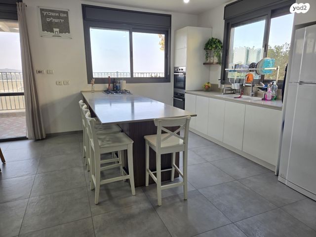 דו משפחתי, הרב ישראלי 1, דולב, דולב