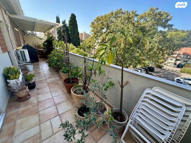 דירה, הרצליה