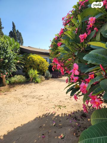 משק חקלאי/ נחלה, שער הכפר, כפר ידידיה