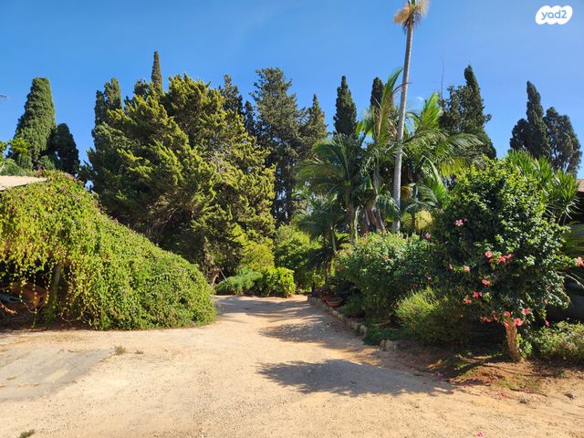 משק חקלאי/ נחלה, שער הכפר, כפר ידידיה