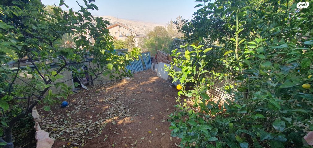 דירת גן, חוט השני, מגדים, מעלה אדומים