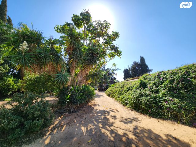 משק חקלאי/ נחלה, שער הכפר, כפר ידידיה