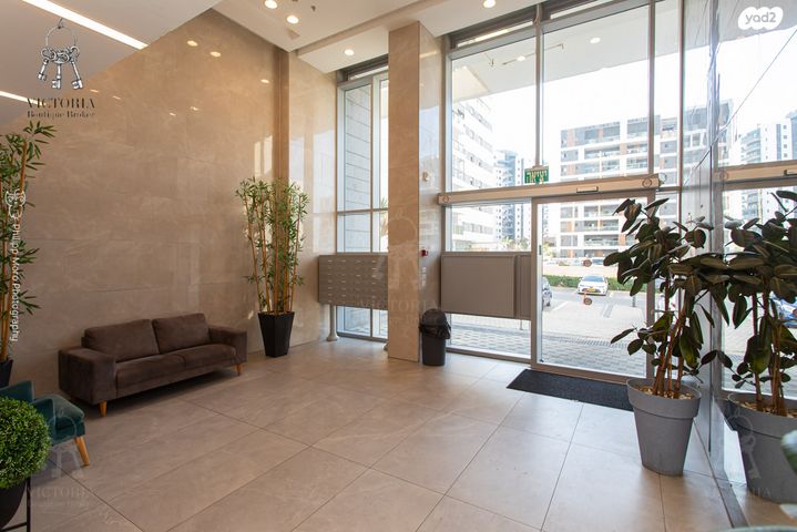 דירה, האנפה, החותרים, טירת כרמל