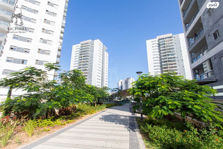 דירה, האנפה, החותרים, טירת כרמל