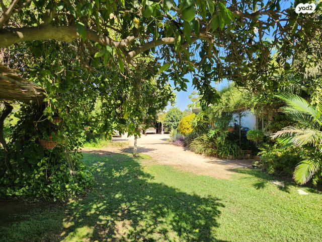 משק חקלאי/ נחלה, שער הכפר, כפר ידידיה