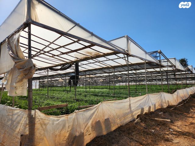 משק חקלאי/ נחלה, שער הכפר, כפר ידידיה