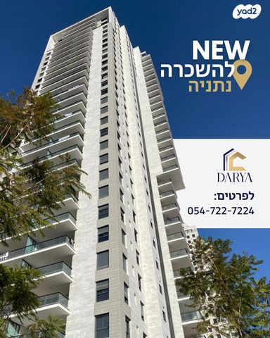 אמנון ליפקין שחק 