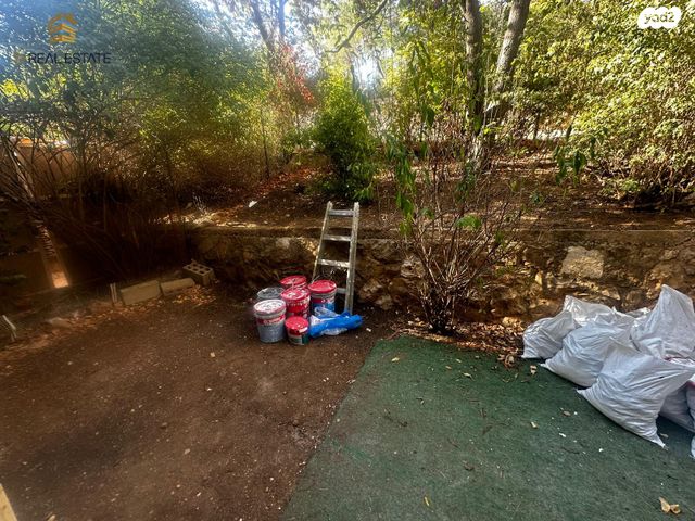 ישראל זנגוויל 