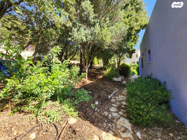 בית פרטי/ קוטג', כמון, כמון