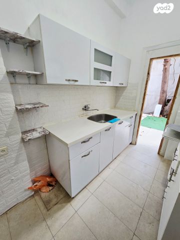 דירת גן, מוהליבר, לב המושבה / מרכז העיר, פתח תקווה