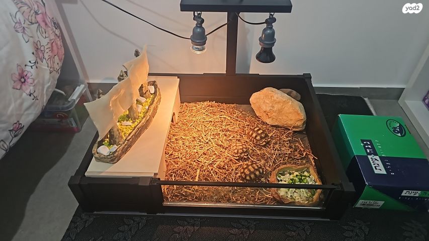 תמונת מודעה - חיות מחמד