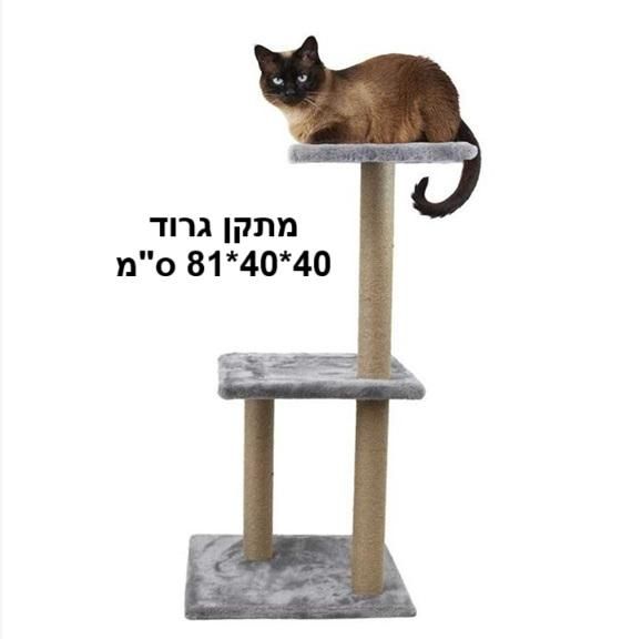 תמונת מודעה - חיות מחמד