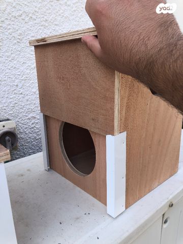 אביזרים | תאי הטלה