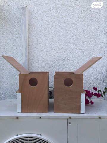 אביזרים | תאי הטלה