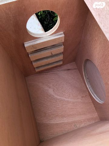 אביזרים | תאי הטלה