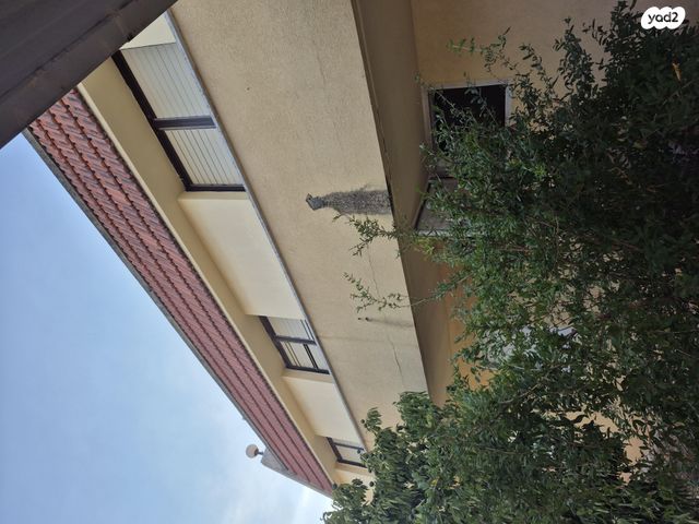 הקונגרס הציוני 30