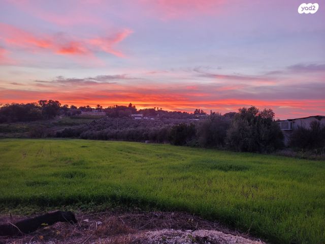 משק חקלאי/ נחלה, התאנה 1, משמר איילון, משמר איילון