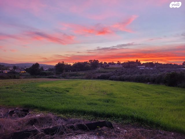 משק חקלאי/ נחלה, התאנה 1, משמר איילון, משמר איילון
