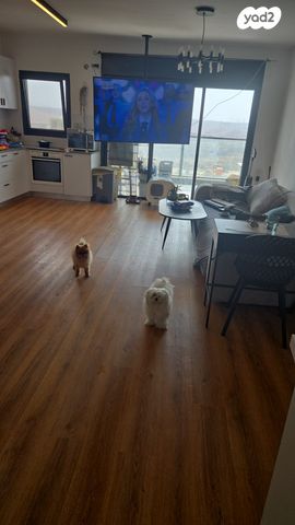 דירה, שדרות בן גוריון 27, פסגות אפק, ראש העין