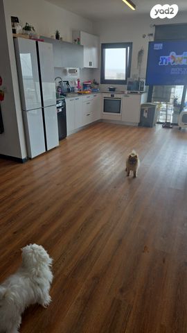 דירה, שדרות בן גוריון 27, פסגות אפק, ראש העין