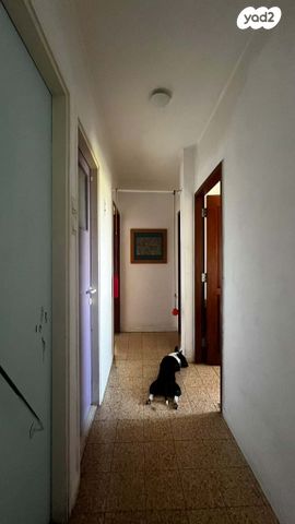 דירה, יפה נוף 230, הראשונים, שלומי